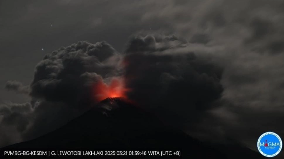 Gunung Lewotobi Laki-Laki Meletus, BNPB Pastikan Tidak Ada Korban