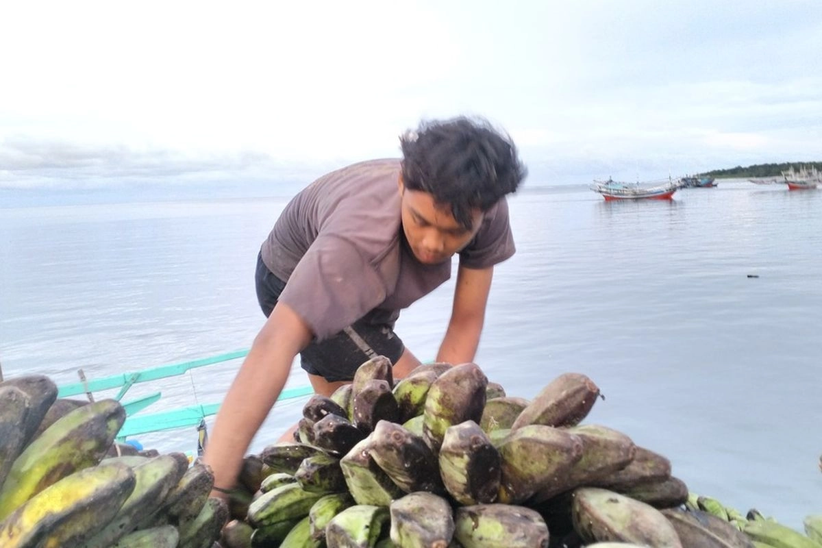 Alur Pelabuhan Pulau Baai Bisa Dilewati Kapal Akhir Juni, Pulau Enggano Tak Lagi Terisolasi?