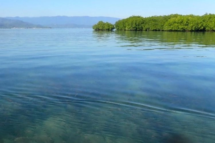 Pulau Panjang di Sumbawa Dijual Online, Begini Respons Kementerian ATR/BPN