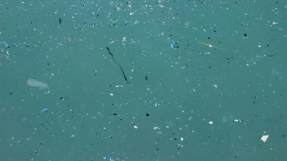 Peneliti Sebut Okra Bisa Jadi Senjata Baru Lawan Mikroplastik, Bagaaimana Caranya?