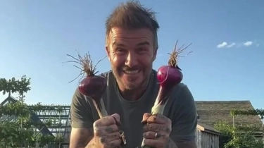 Aktivitas David Beckham Pasca Dapat Gelar Sir: Semringah Panen Bawang dan Wortel