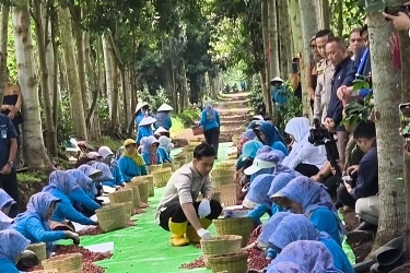 Curhat Petani Kopi ke Gibran soal Harga Pupuk: Kalau Bisa Diturunkan Lagi, Pak, Berat Sekali...