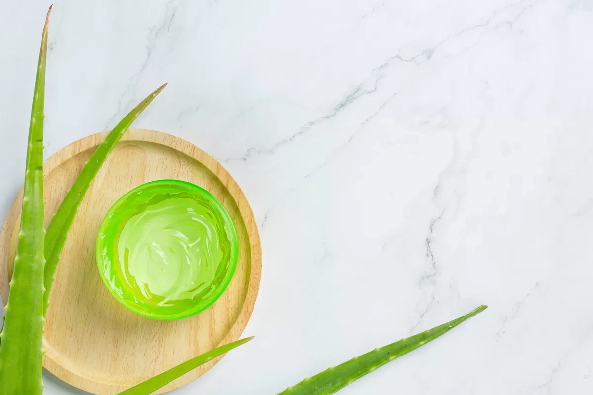 5 Manfaat Masker Lidah Buaya untuk Wajah: Rahasia Kulit Sehat, Lembap, dan Bebas Jerawat Secara Alami