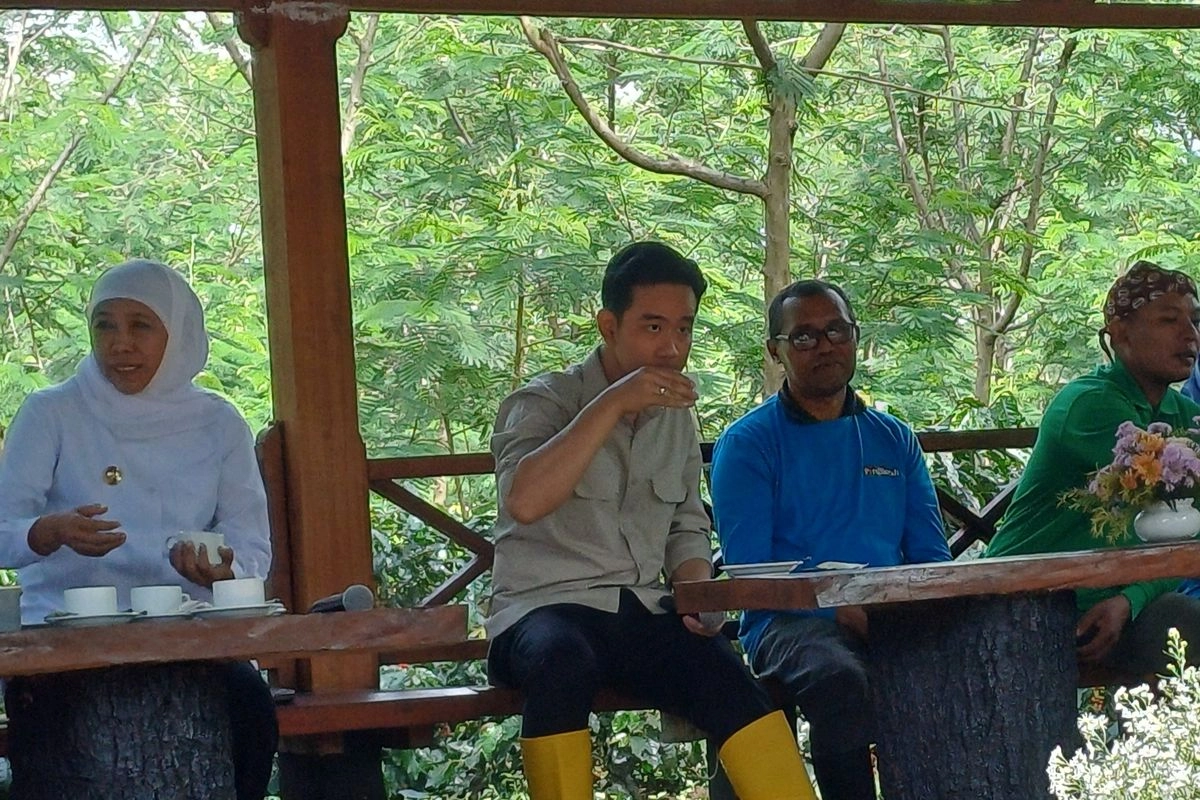 Momen Gibran Cicipi Kopi Bondowoso Meski Punya Asam Lambung