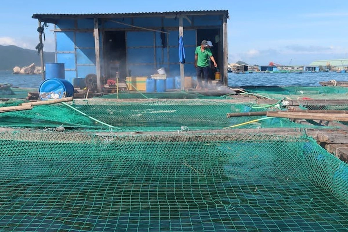 Revitalisasi Tambak di Pantura Jabar Dimulai, Target Produksi Naik 240 Kali Lipat