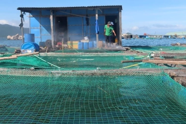 Revitalisasi Tambak di Pantura Jabar Dimulai, Target Produksi Naik 240 Kali Lipat