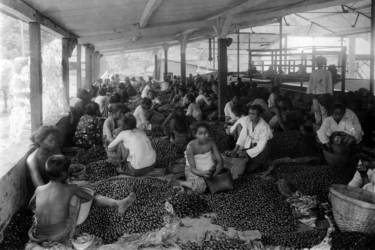 Dekolonialisasi Istilah Prasejarah dalam Penulisan Ulang Sejarah Kebangsaan Indonesia