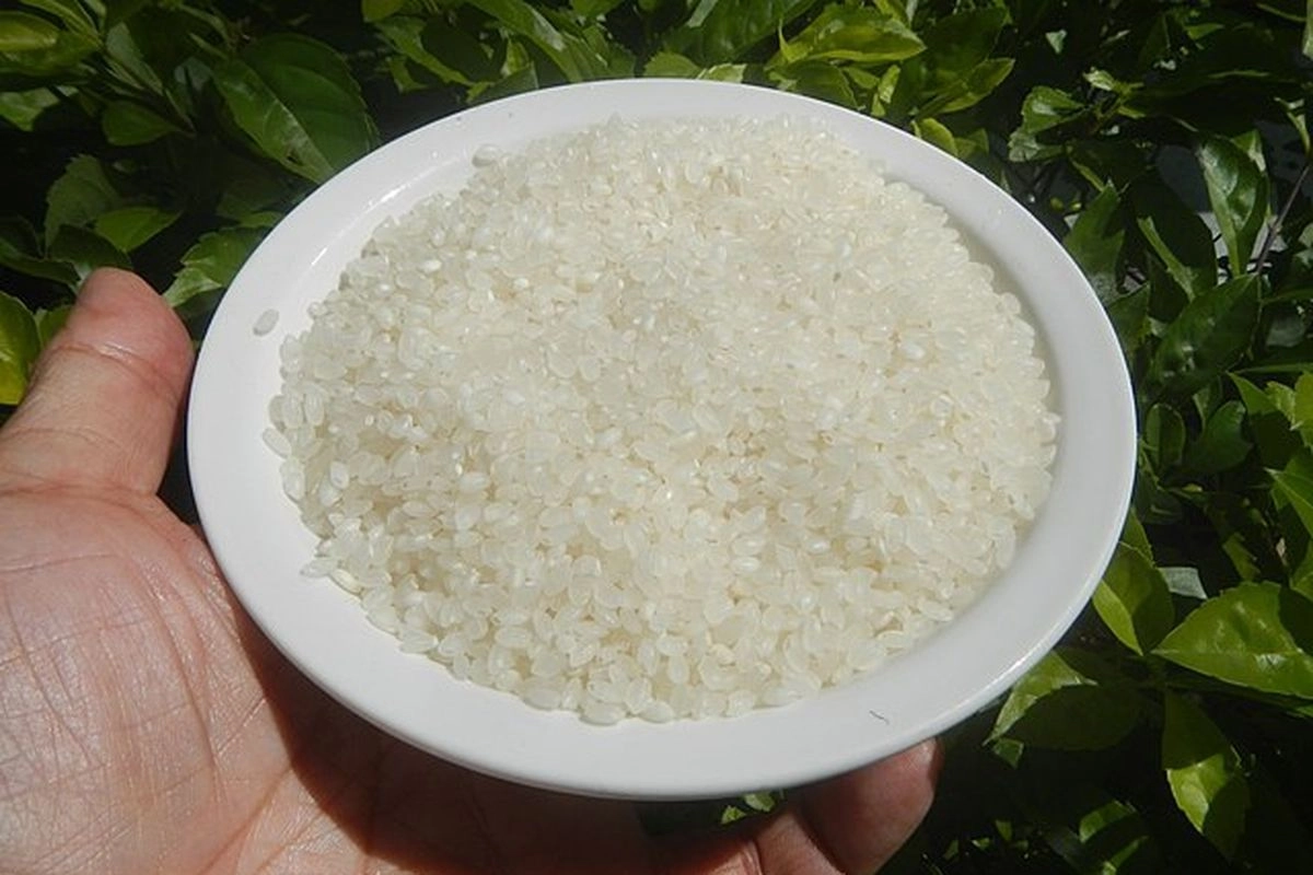 Harga Beras di Jepang Mulai Stabil, Usai Melonjak Berbulan-bulan