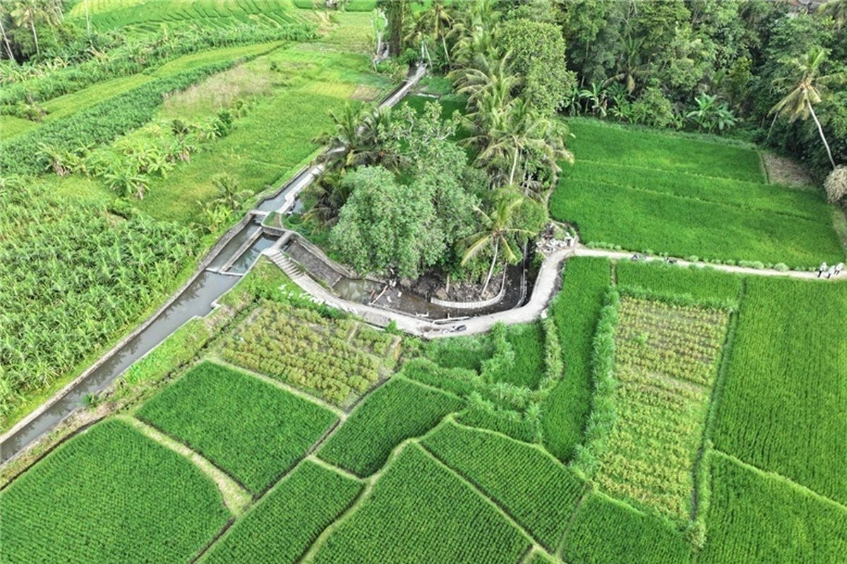 Peringati Hari Air Sedunia, Kementerian PU Tegaskan Sinergi Stakeholder untuk Swasembada Pangan lewat Pengelolaan Air Berkelanjutan