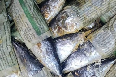 Pakar IPB Peringatkan Risiko Kanker dari Penggunaan Kertas Bekas untuk Ikan Pindang
