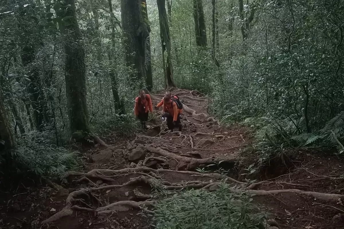 Sempat Tersesat, Empat Pelajar Pendaki Gunung Batukaru Bali Berhasil Dievakuasi dalam Keadaan Selamat