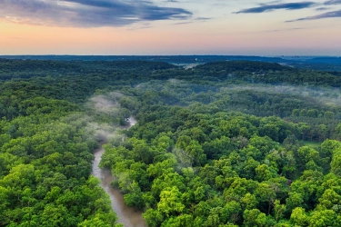 Ketika Netizen Indonesia Banjiri Hutan Amazon Rating Bintang 1 di Google Maps sebagai Balasan...