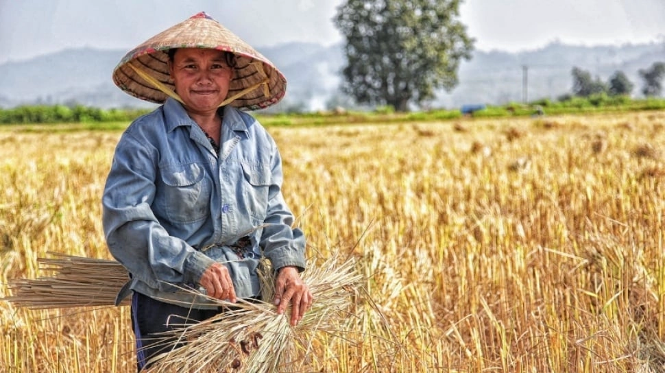 Bagaimana Teknologi Ramah Lingkungan Bisa Bantu Petani Kurangi Emisi dan Biaya Produksi?