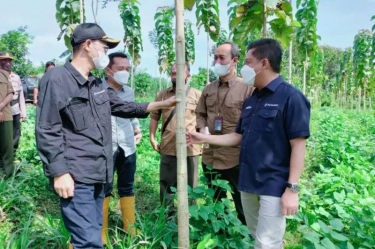 KPK Panggil Eks Dirut Perhutani Wahyu Kuncoro Terkait Kasus Dugaan Suap Inhutani V