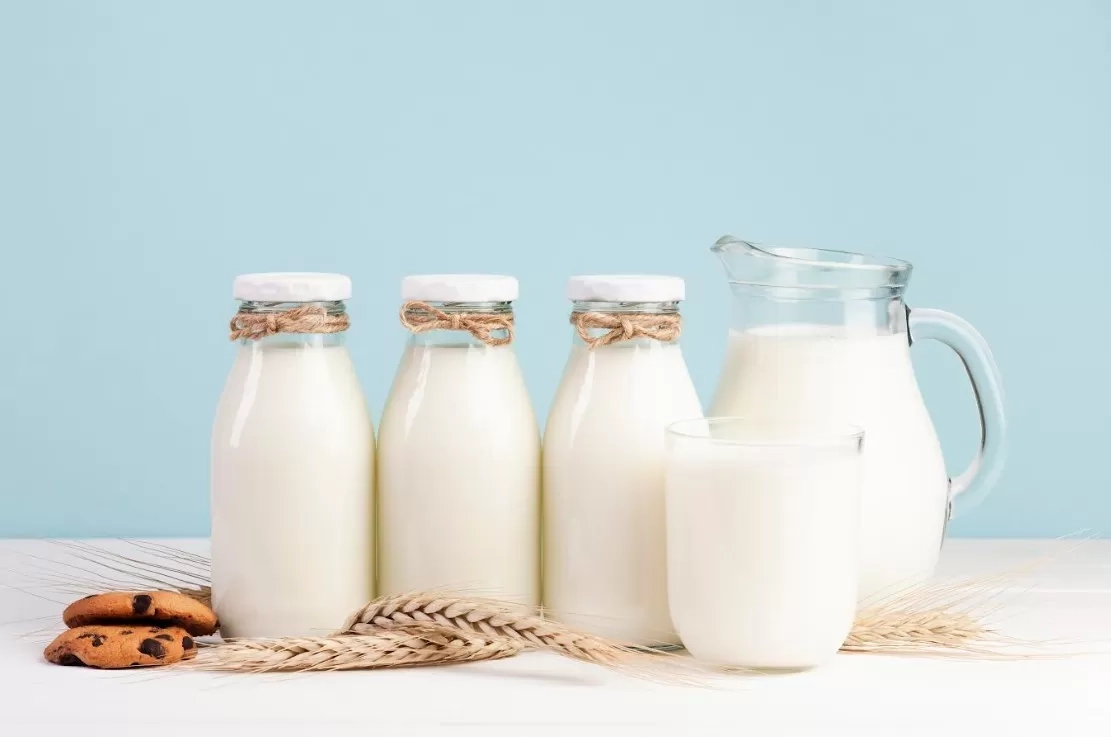 Susu Mana yang Paling Sehat: Sapi, Kedelai, Almond, atau Oat? Begini Penjelasan Lengkap dari Dokter