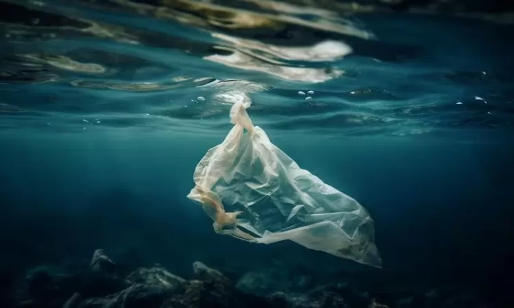 Ancam Kesehatan! Waspada Bahaya Mikroplastik, Tersebar dari Lautan Hingga Produk Kemasan yang Anda Gunakan