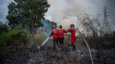 Kebakaran Hutan Dunia Meningkat Tajam, Dampak Ekonomi dan Risiko Kemanusiaan Kian Parah