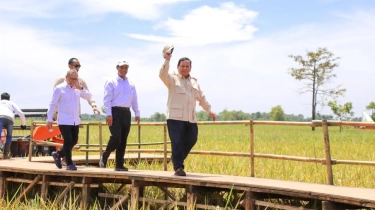 Litbang Kompas: Masyarakat Puas dengan Kinerja Kementan, Produksi Meningkat, Stok Beras Berlimpah