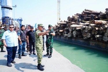 TNI Dukung Penegakan Hukum Kasus Kayu Ilegal yang Rugikan Negara Rp 239 Miliar