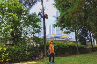 Cara ke Taman Cattleya Naik Kendaraan Pribadi, Ini Rutenya