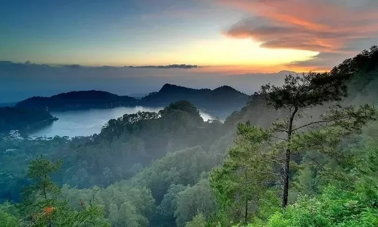 6 Wisata Alam di Ponorogo: Menyelami Keindahan Alam yang Asri dan Menyegarkan di Kota Reog