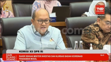 Hilirisasi Kelapa Buka 5.000 Lapangan Kerja, Dua Investor China Siap Investasi 100 Juta Dolar AS