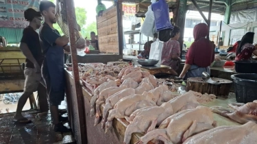 Prabowo Bicara MBG Rp 10 Ribu Pakai Ayam dan Telur, Pedagang Pasar Lembang Ungkap Realitanya