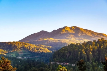 Gunung Lawu Dipastikan Tak Masuk Wilayah Panas Bumi