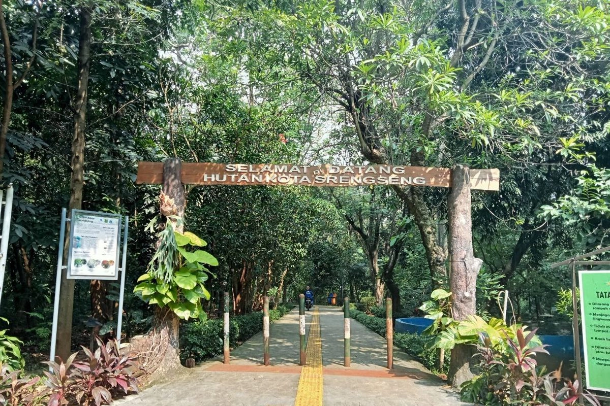 Main ke Hutan Kota Srengseng, Bisa Ngapain Aja?