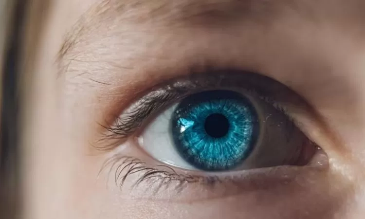 Cegah Kebutaan dengan Menjaga Kesehatan Retina Mata, Ketahui Perawatan Merawat Organ Vital Ini agar Terhindar dari Risiko Fatal