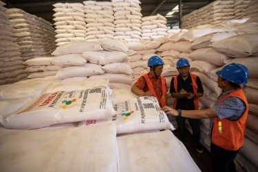 Presiden Prabowo Turunkan Harga Pupuk Subsidi 20 Persen, Pupuk Indonesia: Langkah Bersejarah untuk Petani