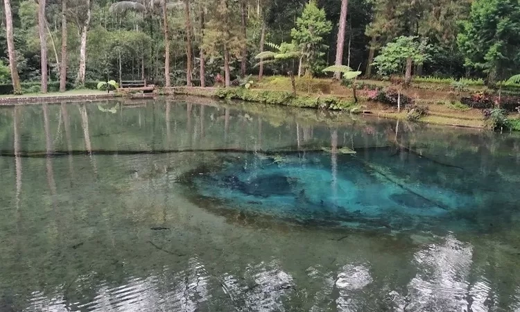 7 Destinasi Wisata yang Wajib Dikunjungi Saat Berada di Blitar Jawa Timur, Jangan Sampai Gak Masuk Bucket List!