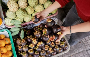 Tips Memilih Buah Segar dan Berkualitas di Pasar, Panduan Praktis yang Wajib Diketahui Pembeli