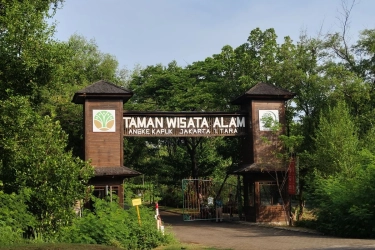 Cara ke TWA Angke Kapuk Naik Transjakarta dari Jakarta