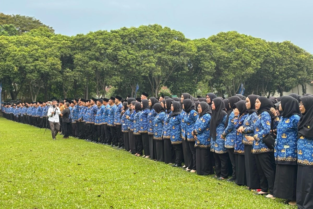 BKN Batalkan Kelulusan 6 PPPK , 1 Meninggal, 2 Tak Memenuhi Syarat
