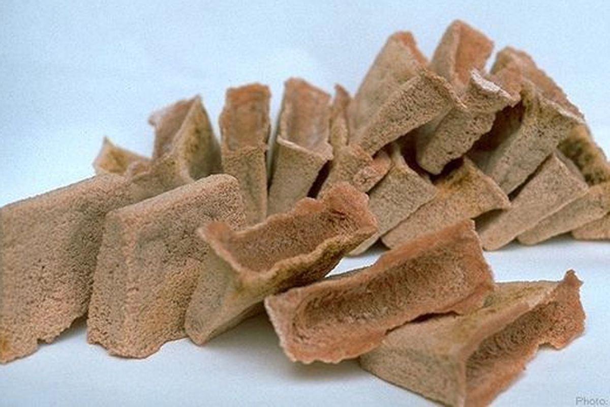 Pemerintah Kaji Sagu Jadi Bahan Baku Etanol