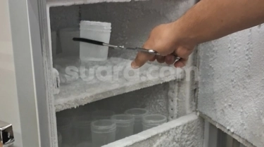 Sensasi Ngopi Ekstrem di Gelas -86 Derajat: Pahit, Creamy, dan Lembut dalam Satu Tegukan