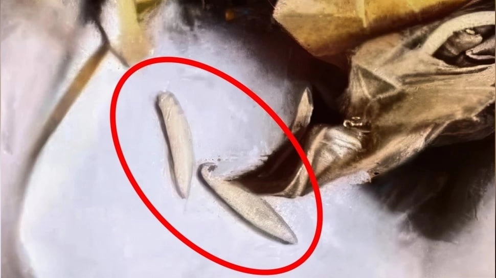 Ulat di Menu MBG SMAN 1 Kamal Diklaim Bisa Dikonsumsi: Benarkah?