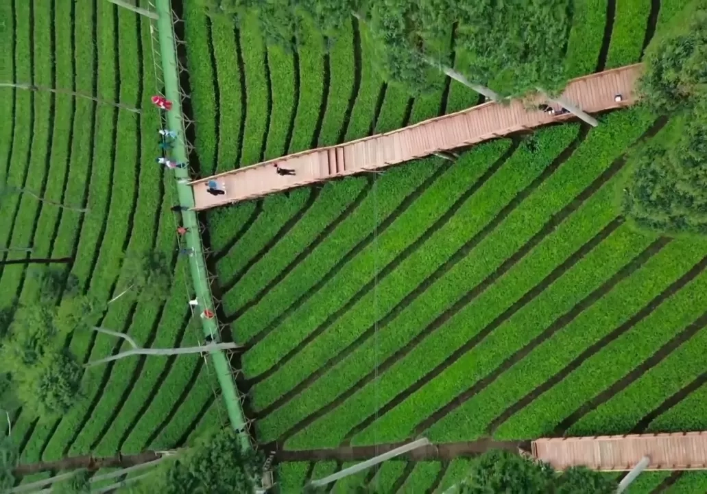 10 Destinasi Wisata Terbaru dan Terpopuler di Wonosobo yang Wajib Anda Kunjungi