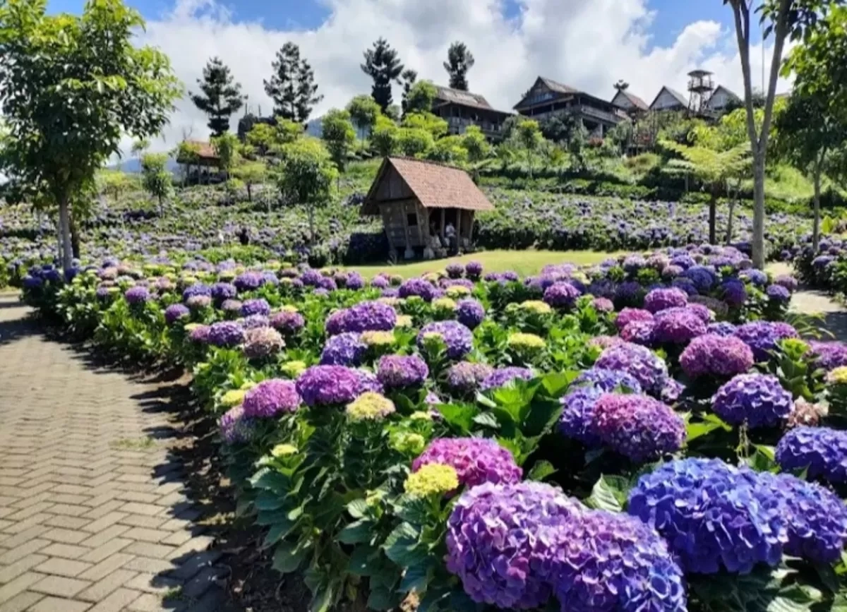 Bosan dengan Wisata Malang yang Itu-Itu Aja? Kunjungi 2 Destinasi Anti Mainstream Ini yang Bikin Liburan Keluarga Makin Seru!