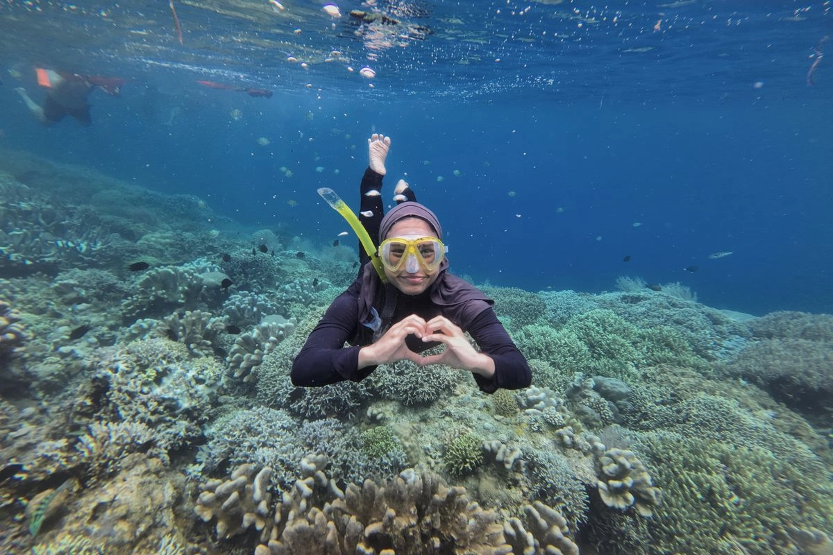Catat! Ini Waktu Terbaik untuk Menyelam dan Snorkeling di Bunaken
