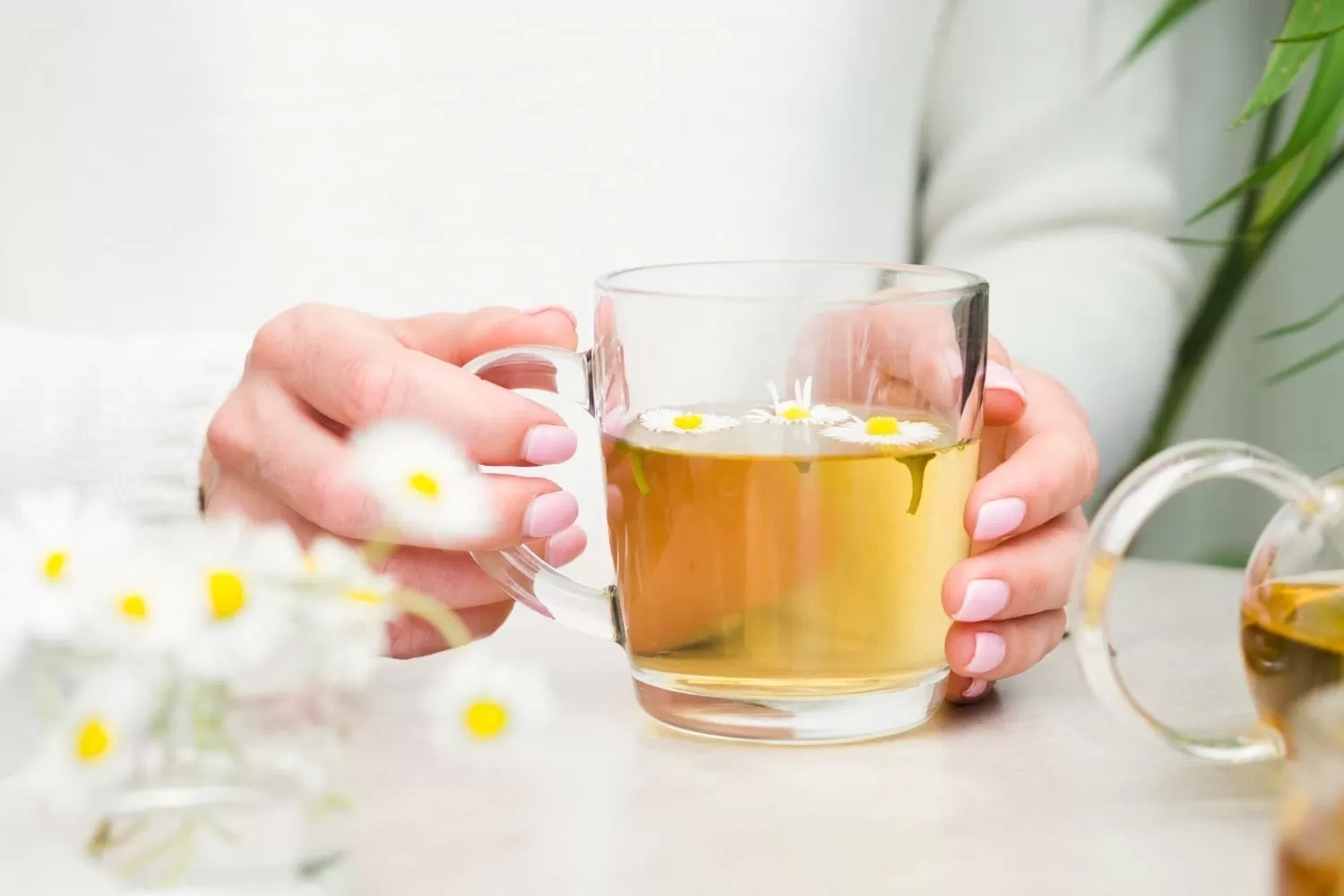 5 Teh Herbal untuk Meredakan Stres dan Membantu Anda Merasa Tenang