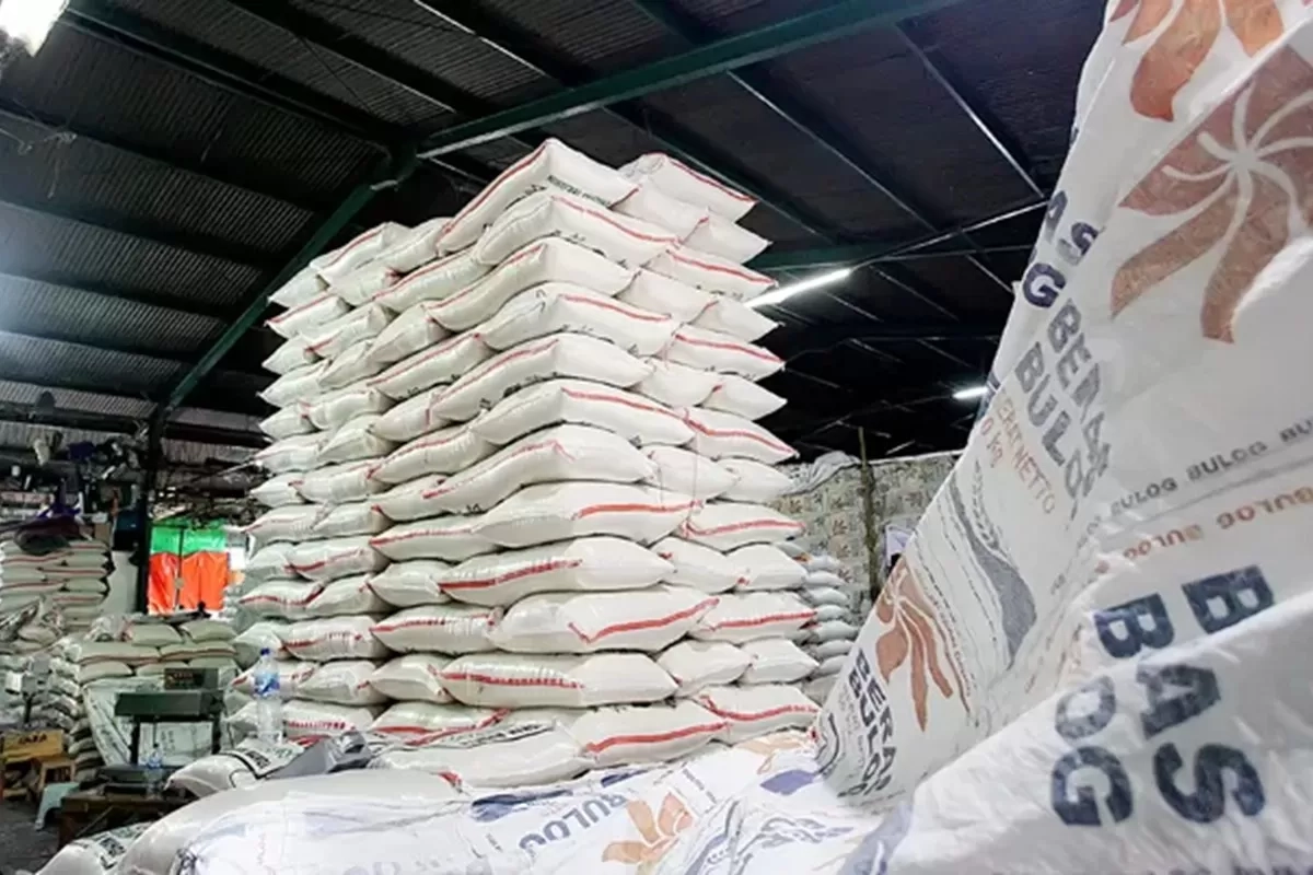 BPS Perkirakan Produksi Beras pada 2025 Bakal Naik Mencapai 4,15 Juta Ton