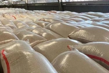 Bapanas Pastikan Stok Beras Berputar Maksimal 6 Bulan untuk Jaga Kualitas