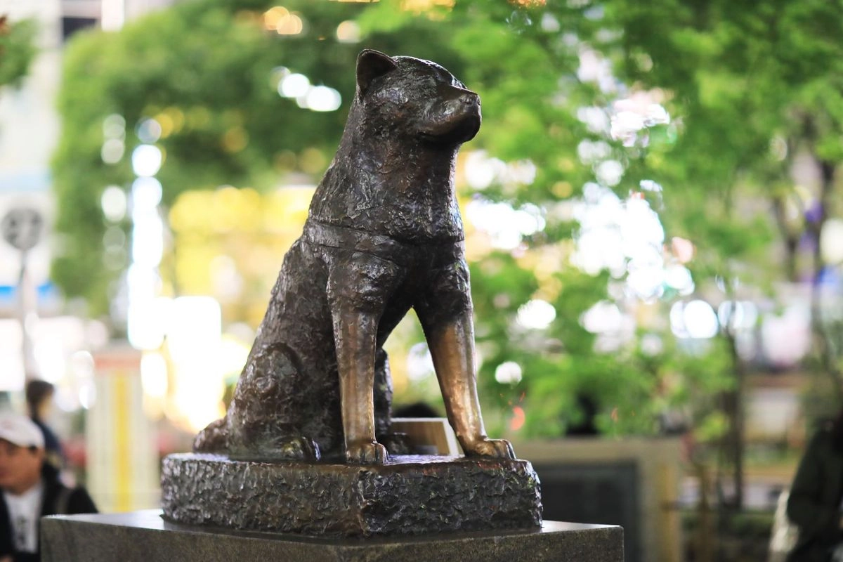 Patung Hachiko di Tokyo, Kisah Anjing Paling Setia di Dunia yang Bikin Haru Wisatawan