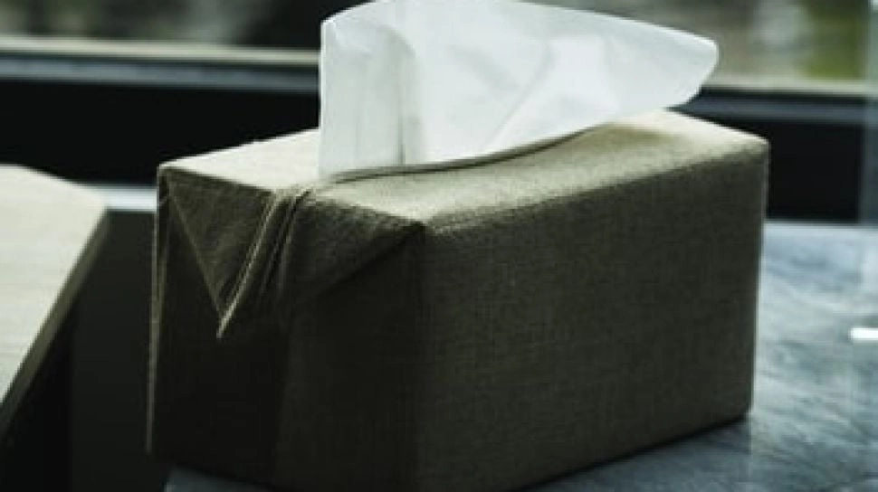 Klaim Ramah Lingkungan Tisu Bambu Dipertanyakan, Produksi Masih Bergantung Batu Bara