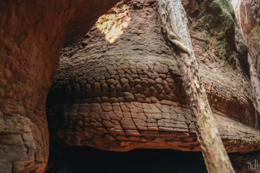 Keajaiban Naka Cave Thailand, Batu Bersisik Ular yang Sarat Legenda dan Spiritualitas