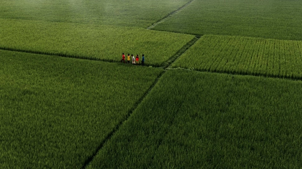Mengapa Pertanian Berkelanjutan Menjadi Kunci Masa Depan Indonesia