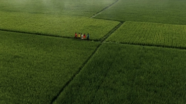 Mengapa Pertanian Berkelanjutan Menjadi Kunci Masa Depan Indonesia