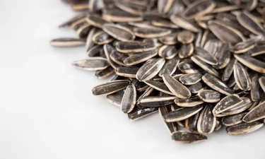 Kuaci: Camilan Mungil Penuh Nutrisi yang Pas untuk Menemani Waktu Luangmu!